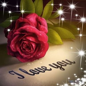 Meet your Posher, Sheila